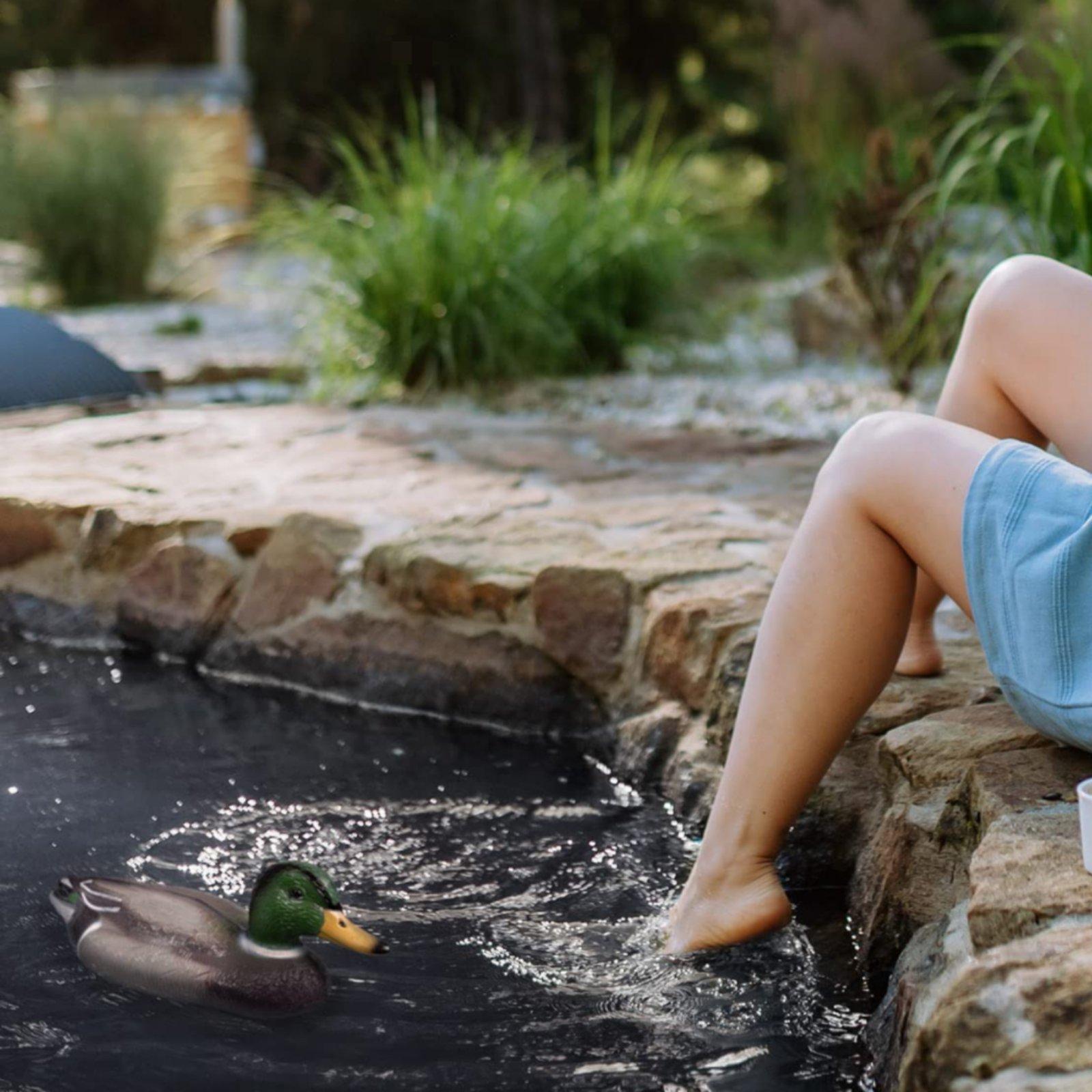 Floating Duck Decoy Realistic  - Hunting & Outdoor Supplies 评论和价格